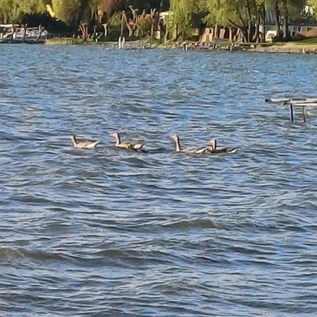 Gosciniec Twoje Mazury Nad Jeziorem Sniardwy Tuz Obok Plazy Нове Гути Екстериор снимка